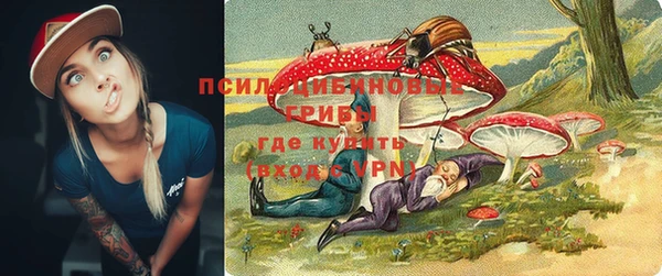 сатива Ступино