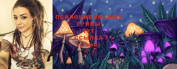 метамфетамин Алексин