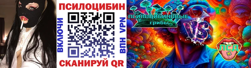 Галлюциногенные грибы Cubensis  Андреаполь 